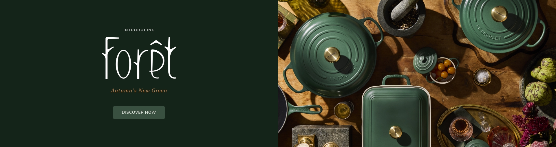 Carousel 1 banner