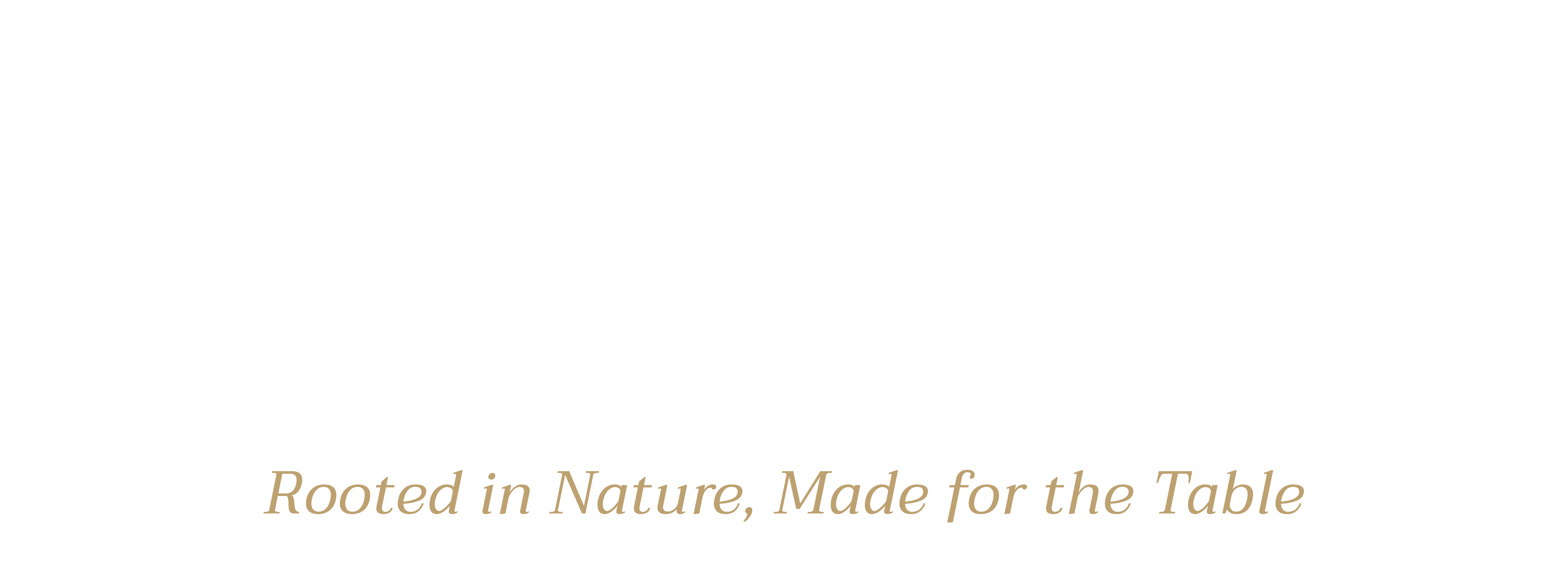 The Foret Collection